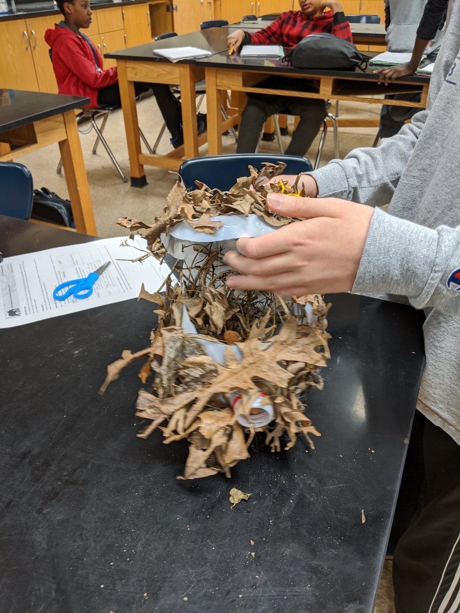 AmandaE_Sci's tweet image. So proud of how these specialized structures turned out ❤️🙌 #cmsmakes #sciencerules