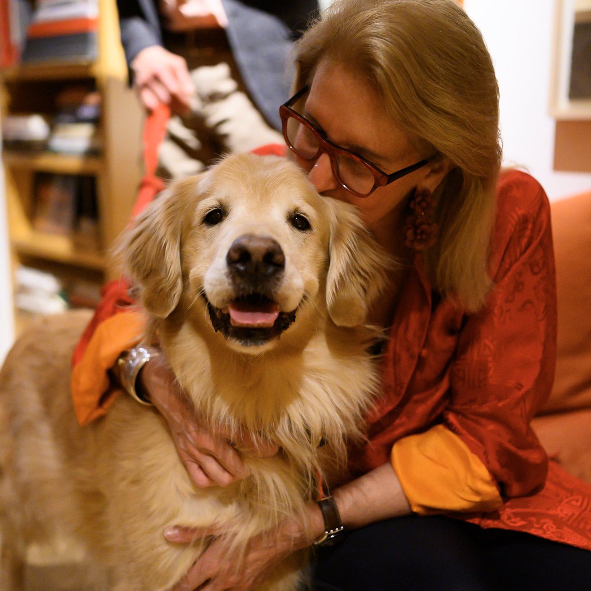 thedogist tweet picture