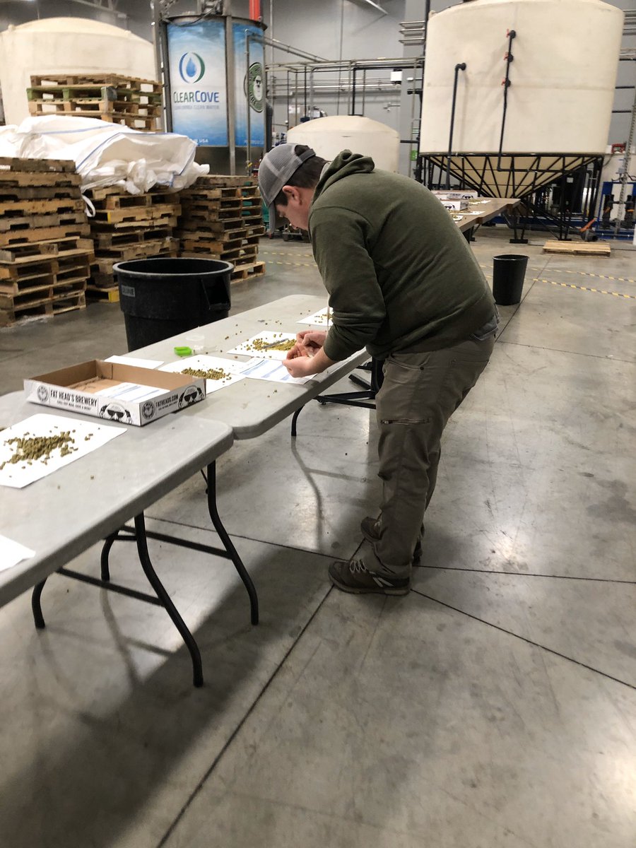 FatHeadsBeer's tweet photo. Our Head Hop Sorcerer Julie led a Hop Evaluation with our Brew Crew today! Even better? Today is #NationalEmployeeAppreciationDay 🍻 We would not be here without this amazing crew (and the rest of the team that makes us Fat Head’s)! #HeedyTeamWork https://t.co/cPb1jQb4WP