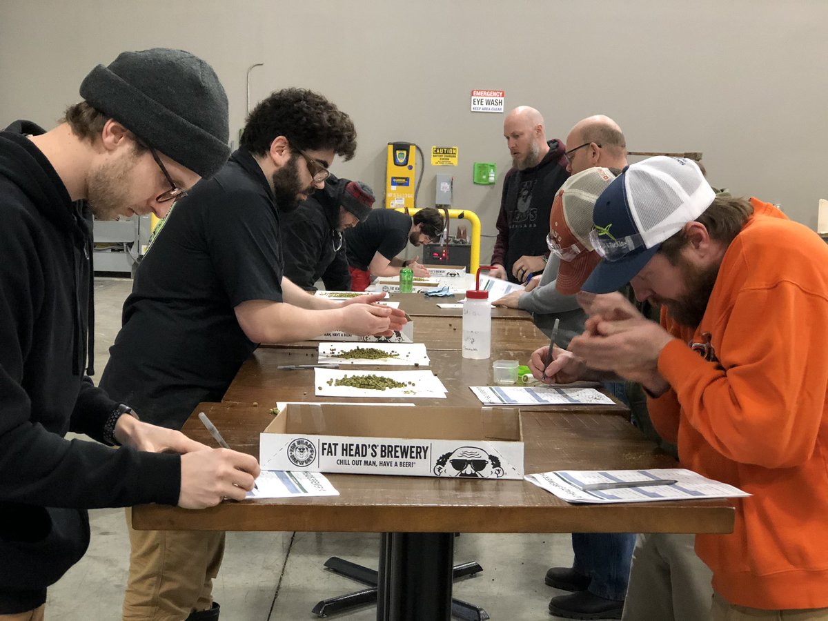 FatHeadsBeer's tweet photo. Our Head Hop Sorcerer Julie led a Hop Evaluation with our Brew Crew today! Even better? Today is #NationalEmployeeAppreciationDay 🍻 We would not be here without this amazing crew (and the rest of the team that makes us Fat Head’s)! #HeedyTeamWork https://t.co/cPb1jQb4WP