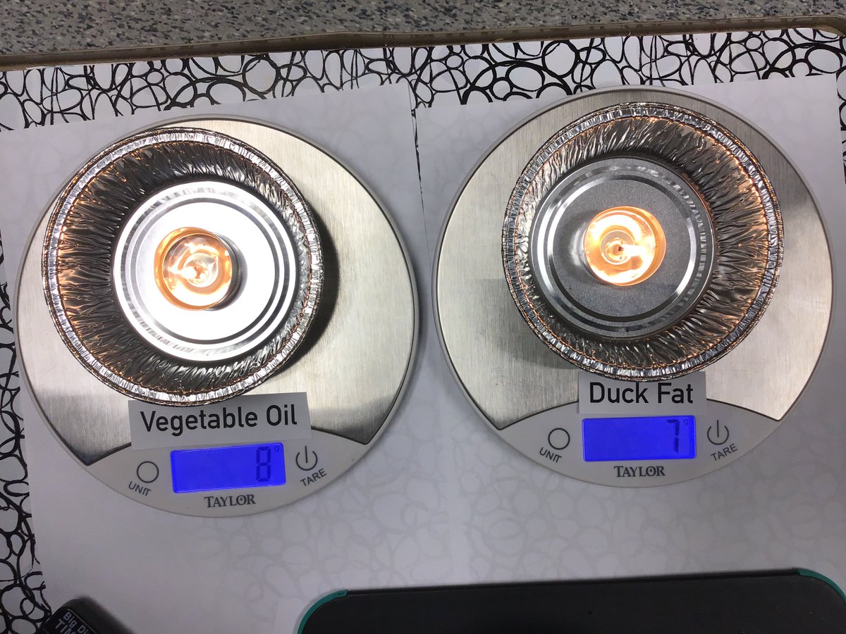 What happens when fat burns? Let's investigate! #MiddleSchool #Science
