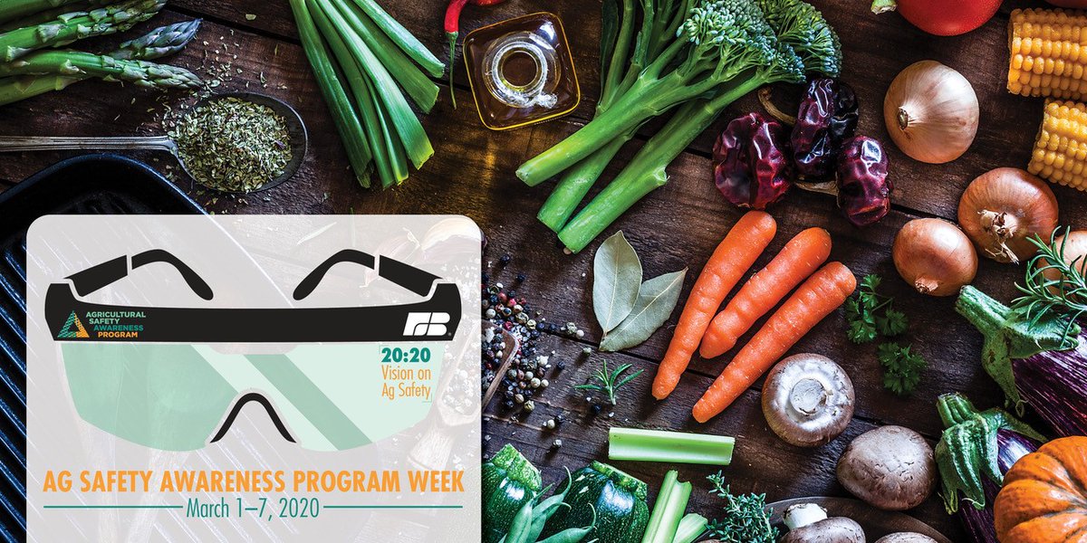 Make sure your field meals are packed with healthy fruits, vegetables, proteins and water to provide energy for the long days ahead. #VisionOnAgSafety #ASAP20 #USAgCenters <a href="/FarmBureau/">American Farm Bureau</a>
