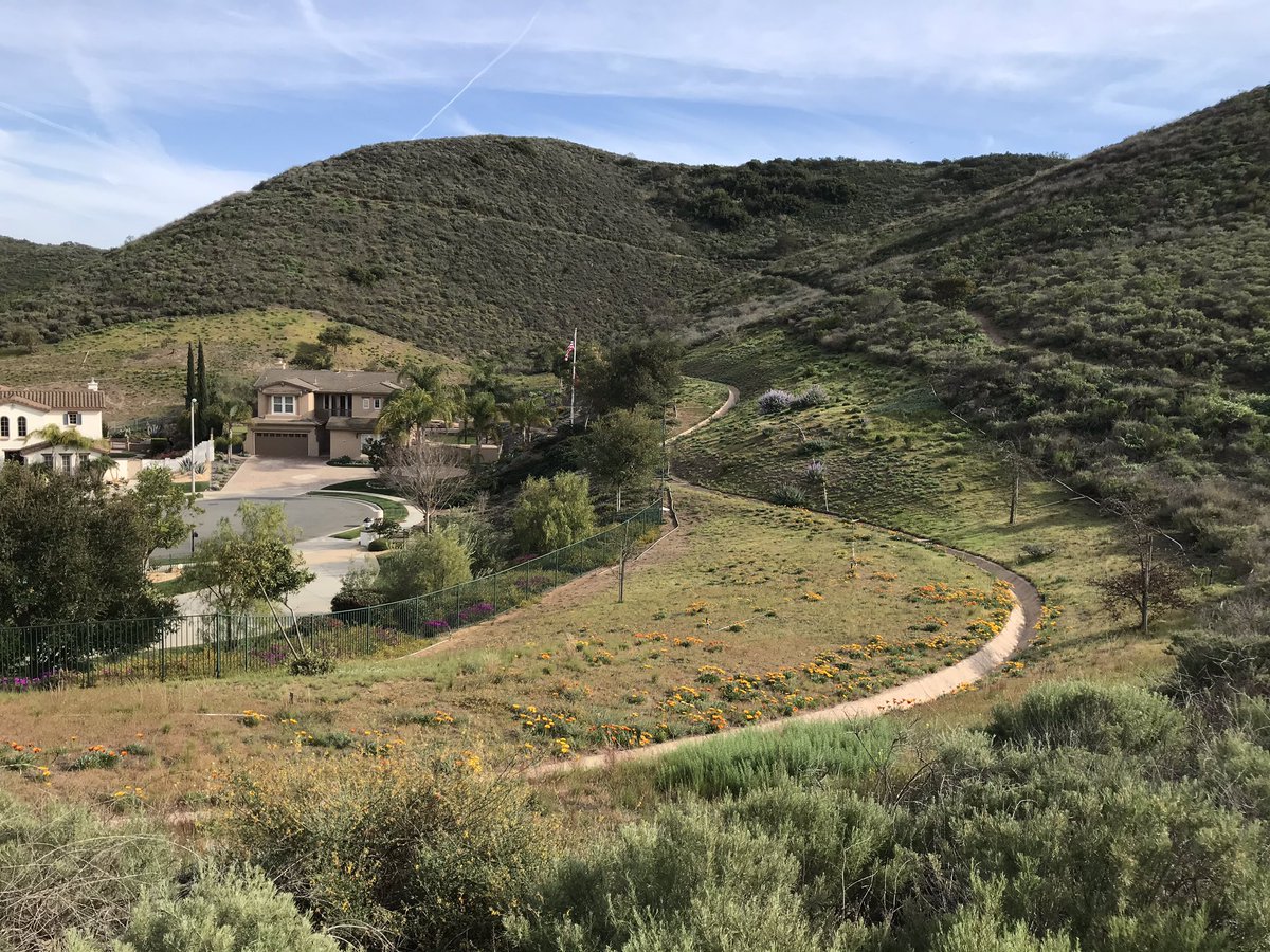 hillypaige2's tweet photo. #ConejoOpenSpace #4 of 10 in the @COSChallenge - #ElRincon.  A short trail with nice views of DV and Conejo Mtn.  Used it as a connector between Vista Del Mar, El Cerro, and Sierra Vista for a nice loop of DV. Taking advantage of the nice weather before the 🌧 moves in! https://t.co/aM5J3DfyRX