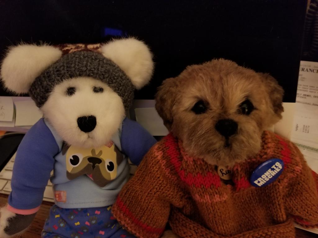 RustyFurr's tweet photo. Hello everyone! Muwah Olivia!! Mum is on her way home from her tax appointment. Soon we'll be tweeting more! Good night all! #ToddysHug #ButterbeanHug https://t.co/8FHqeqrxdn