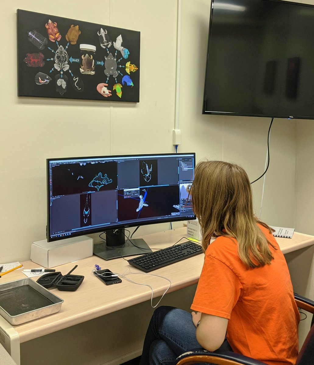 Bloch Lab @UF tweet media