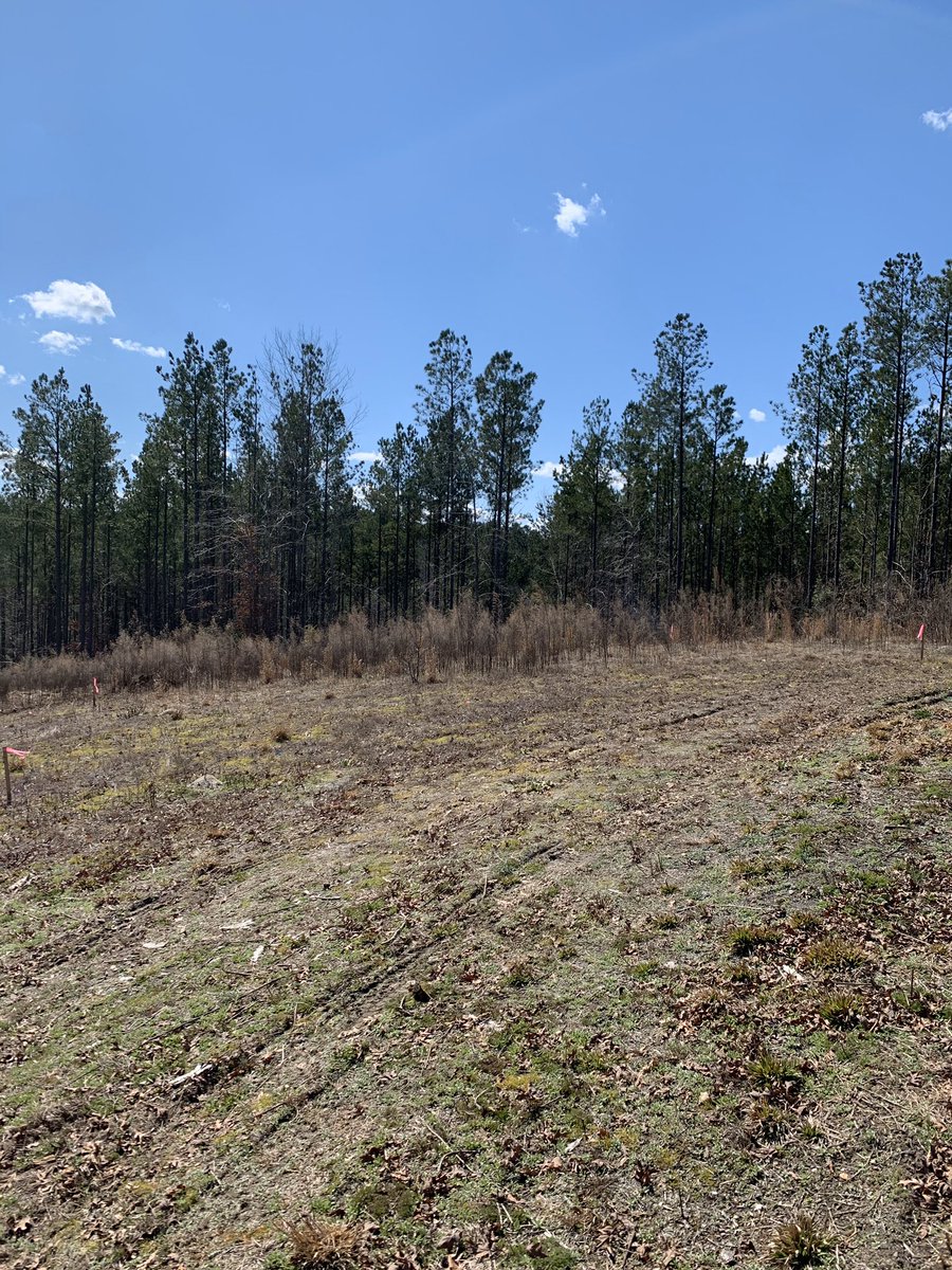 MastersPropInc's tweet image. The next dream 🏡 is coming out of the ground! Soon, this private 30 acre property will boast a beautiful 3 story farmhouse with a walkout basement. Stay tuned for updates! #MastersQuality