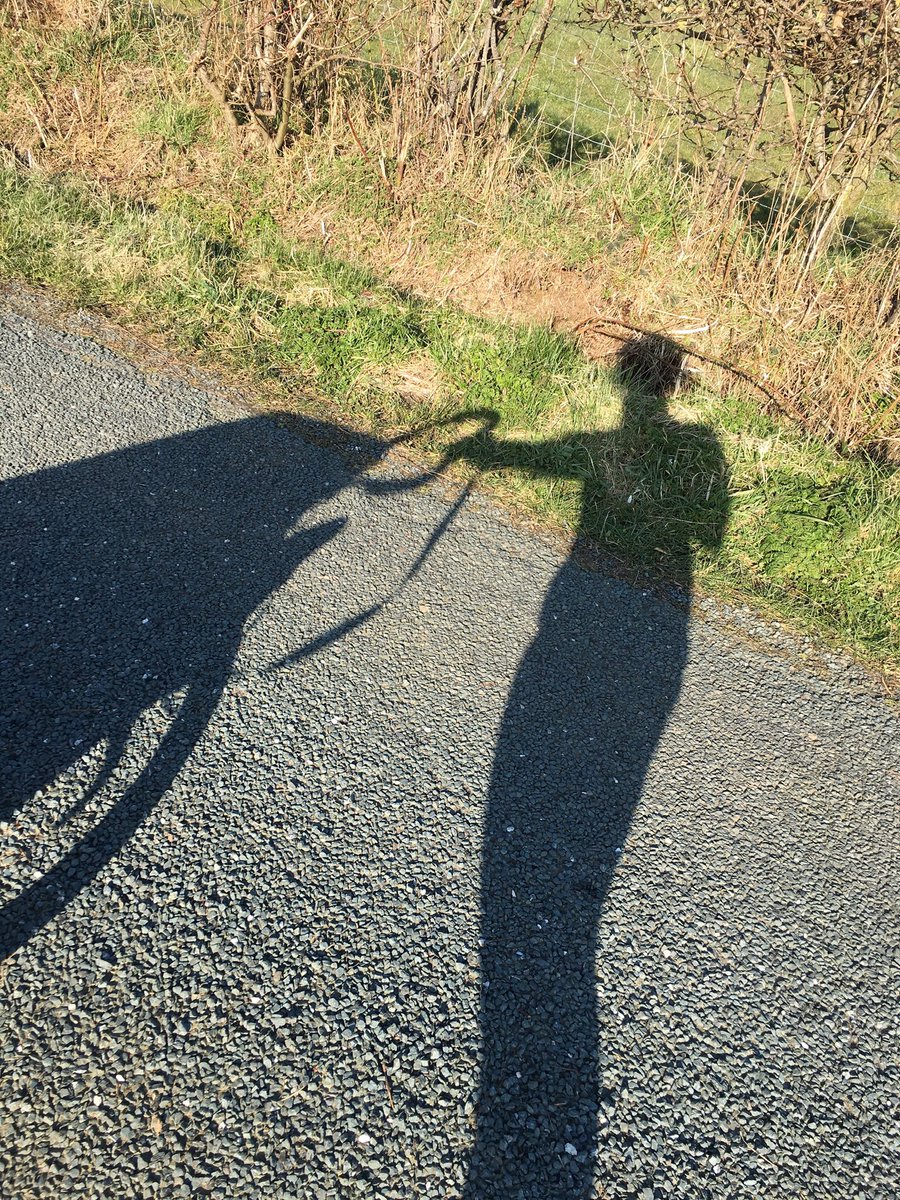 Lakenutrition's tweet photo. & breathe.... #northyorkshire #daysoff #timewisepower50 #whatidowhenimnotworking #runningbuggy https://t.co/bdoif0yzep