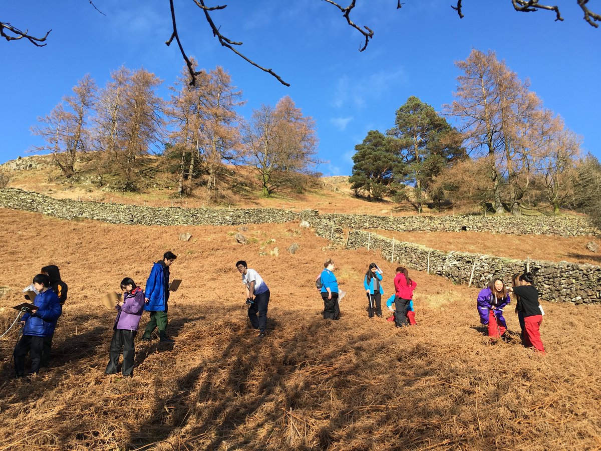 GeogDeptCC's tweet photo. Our AS Geographers have been exploring the intricacies of the carbon cycle in Borrowdale, a craggy valley in the beautiful Lake District. Snow-capped peaks and some sunny skies were a welcome backdrop. @GeogDeptCC @ConcordCollege #biogeography #fieldresearch https://t.co/PepDZ45oo1
