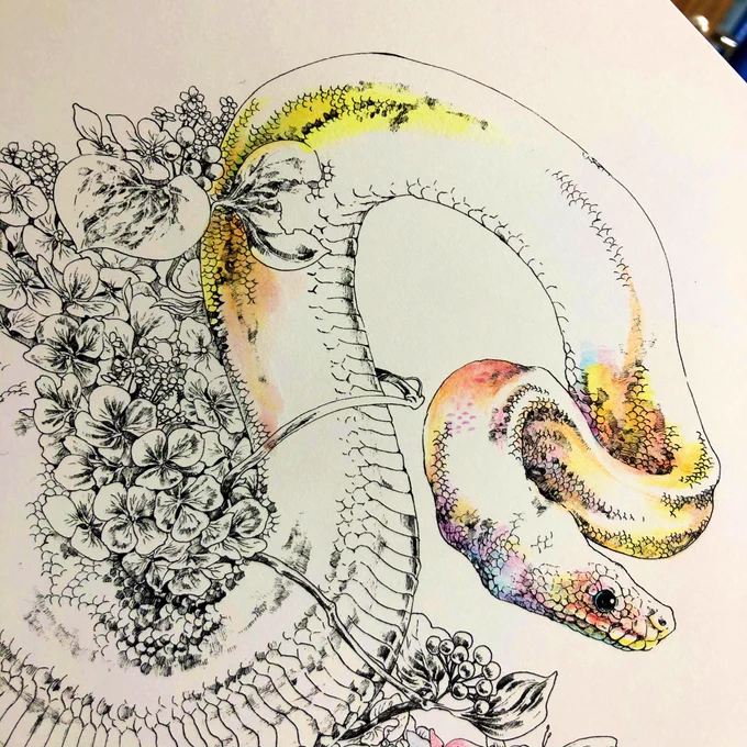 マツダケン塗り絵お試し中
これはたのしいぞ 