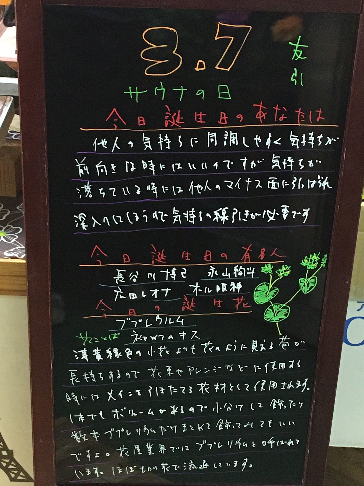 花色舞 Sc店 今日の誕生花は ブプレウルム 突き抜き柴胡 和名は変わってますが花茎が葉を突き抜けて花 が咲いているように見える三島柴胡の仲間なので 花は目立ちませんが花束やアレンジのメインの花を活かしてくれる無くてはならない名バイプレヤー的な