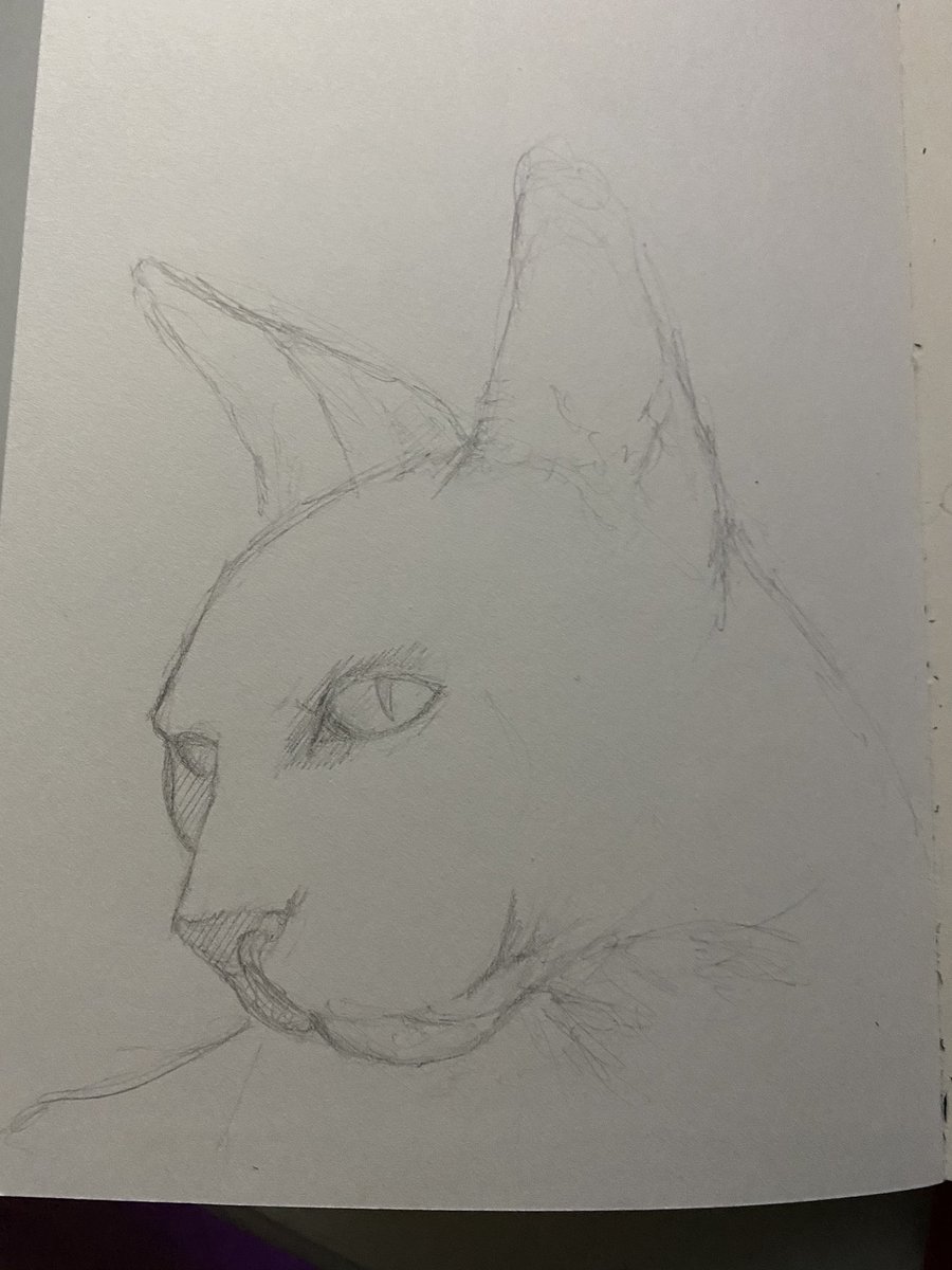 TheWeredude's tweet photo. Sketch I have been working on that I was going to turn into Storm. Also a few animal sketches. #traditionalart #traditionalartist #animalsketches #datbootydoh #anatomyart #pencilsketch #gettingbetter #ijustwanttodrawcomicsman #comicart https://t.co/qYslwwnoNo