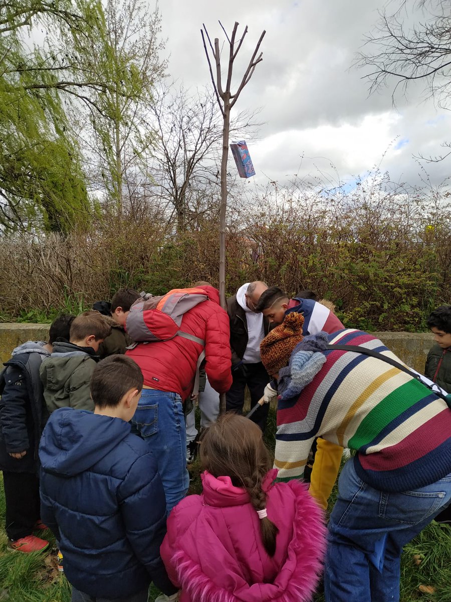 SorayaBuey's tweet photo. Nuestro proyecto "La Ciudad de los niños" no para, hoy #Aulaslibera y Daniel Boyano nos ayudan a limpiar la basura del río Esgueva, además plantamos un árbol, colgamos casitas para pájaros hechas con bricks por los niños. @ecoembes_com @urbangreenUP @mariatuitea #CentrosEducacyl https://t.co/AgNWmWVgqz