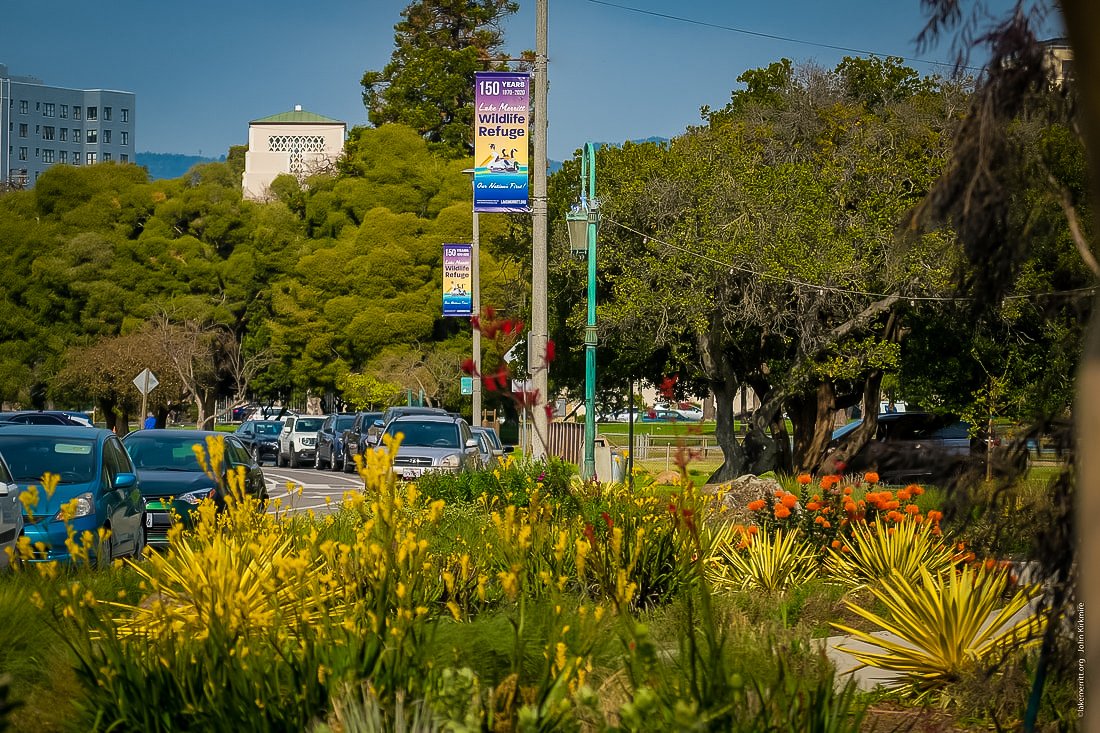 GoldMetroMedia's tweet photo. There is a lot to #celebrate in life! City Light Pole banners are a great way to quickly let everyone know what you are proud of, and that efficiency makes us proud! 🦆🦢🌳#LakeMerritt150Years #RotaryNatureCenter #citylightpolebanners #ooh #losangeles #sanfrancisco #marketing https://t.co/zNZX8orBJo