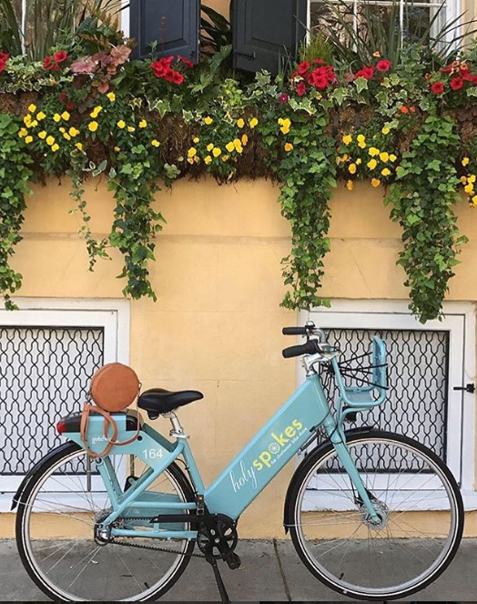 KingCharlesInn's tweet photo. Take in the sights and sounds of the city by bike! Rent a bike from @holyspokesbikeshare available 24/7. 🚲
#charleston #charlestonsc #southcarolina #discoversc #mysouthernliving #lowcountry #travelgram #travel #exploremore #stayandwander⁠ #holyspokesbikeshare https://t.co/xQfBJMDUWA