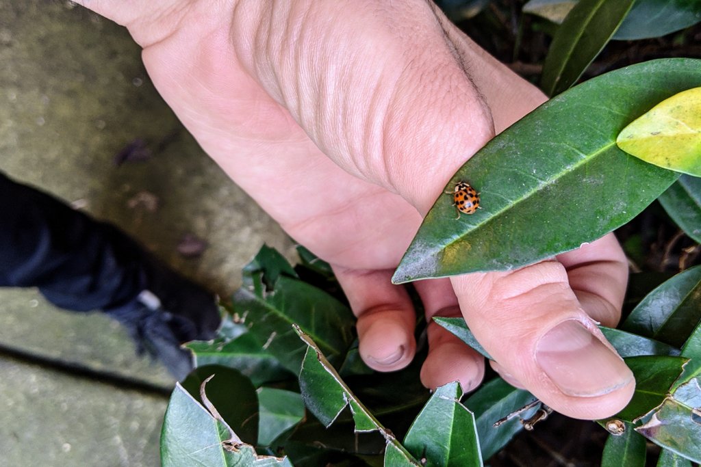 splitmango's tweet photo. This week Airrick, our resident cycling commuter, gave a little friend a lift to #NorthVancouver.

Spring is just around the corner in #Vancouver. Be sure to look into local events like @OfficialVCBF, who showcases the city's beautiful cherry blossom trees. https://t.co/8DwyezrJJf