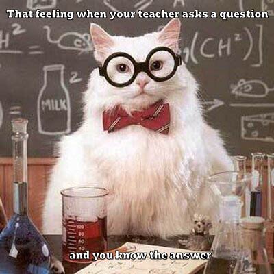 Happy Friday from all of us at Mad Science of Colorado!