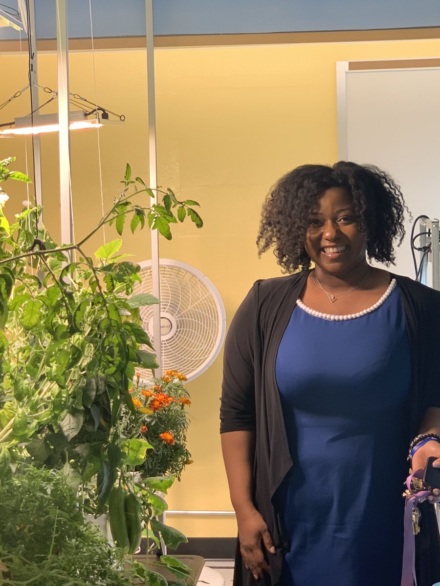 IClarenceEllis's tweet photo. Ps 12’s hydroponic lab is  an amazing space. This is a collaborative effort with MS 484! @DOEChancellor @CWATSONHARRIS @bfreeskeewee https://t.co/8Yl8Z757kE