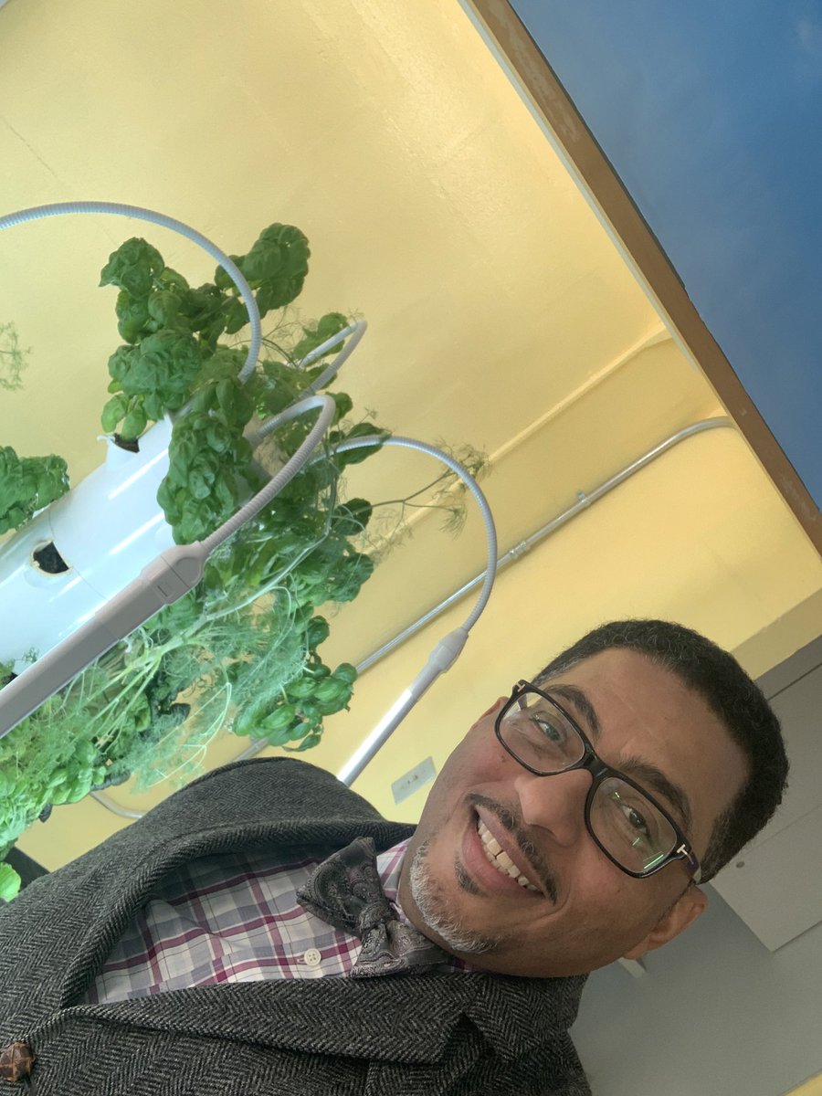 IClarenceEllis's tweet photo. Ps 12’s hydroponic lab is  an amazing space. This is a collaborative effort with MS 484! @DOEChancellor @CWATSONHARRIS @bfreeskeewee https://t.co/8Yl8Z757kE