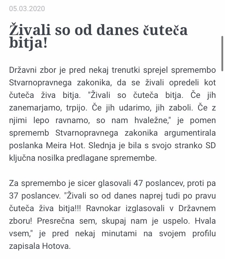 Adopt Don’t Shop tweet media