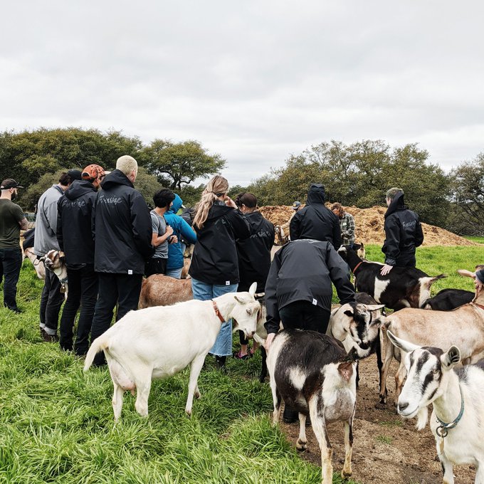 Today is the last day of Method Week No. 10. We learned krav maga and archery, how to roll sushi and<a href="/tag/methodweek"class="tags"><span>#methodweek</span></a>