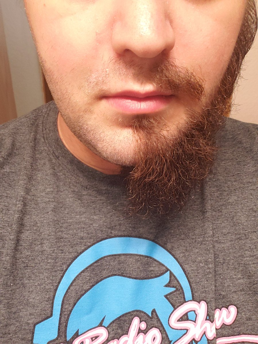SageOfGlass's tweet photo. Channeling my inner @GladdOnTwitch #halfbeard https://t.co/xAXo1oUnNE
