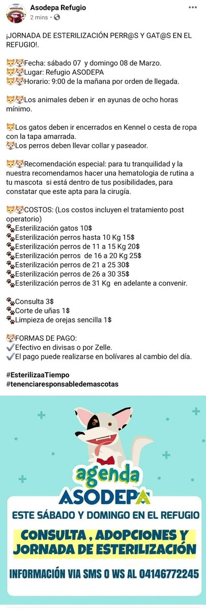 Asodepa's tweet photo. Jornada de ESTERILIZACIÓN para perros y gatos (ambos sexos) este fin de semana en #asodepa #Maracaibo #JornadasdeEsterilizaciónAsodepa https://t.co/SS7ahEKoIb