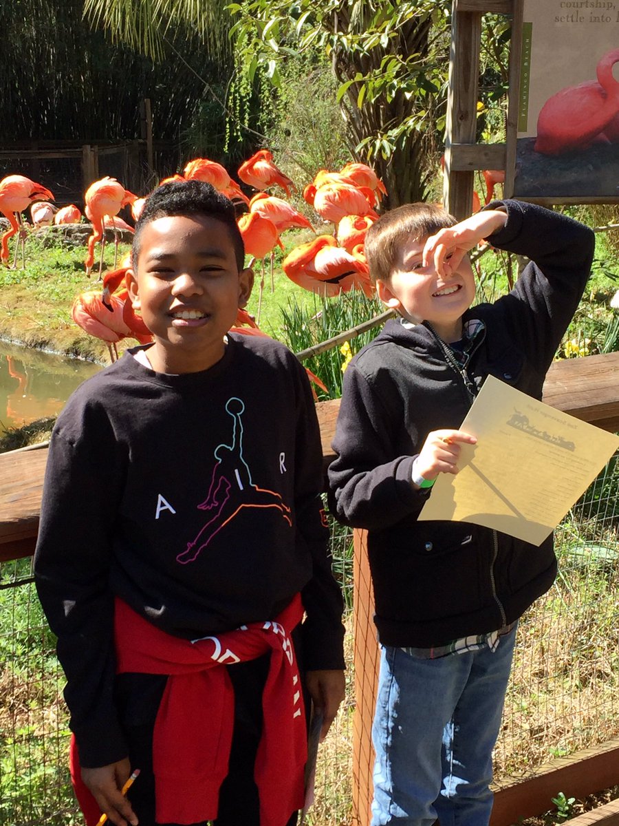 CMParent2's tweet photo. Beautiful day for a 4th grade field study to Riverbanks Zoo! #lceupper https://t.co/2o1zM0XdWe