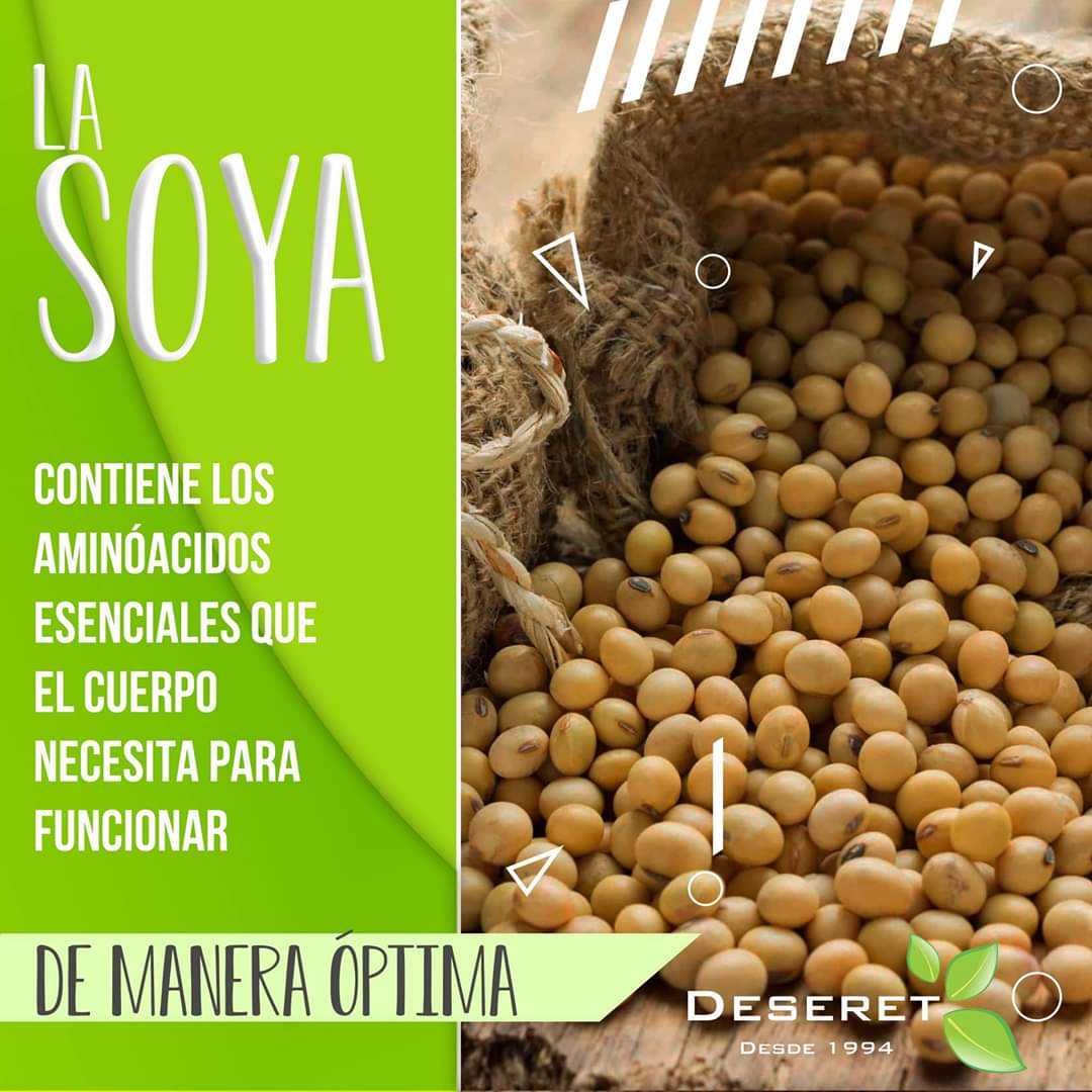 deseret_aliment's tweet photo. Soya  
#Deseret #AlimentosyBebidas #Suplementos #Natural #AloeVera #ViveSano https://t.co/W9HfevDBzH