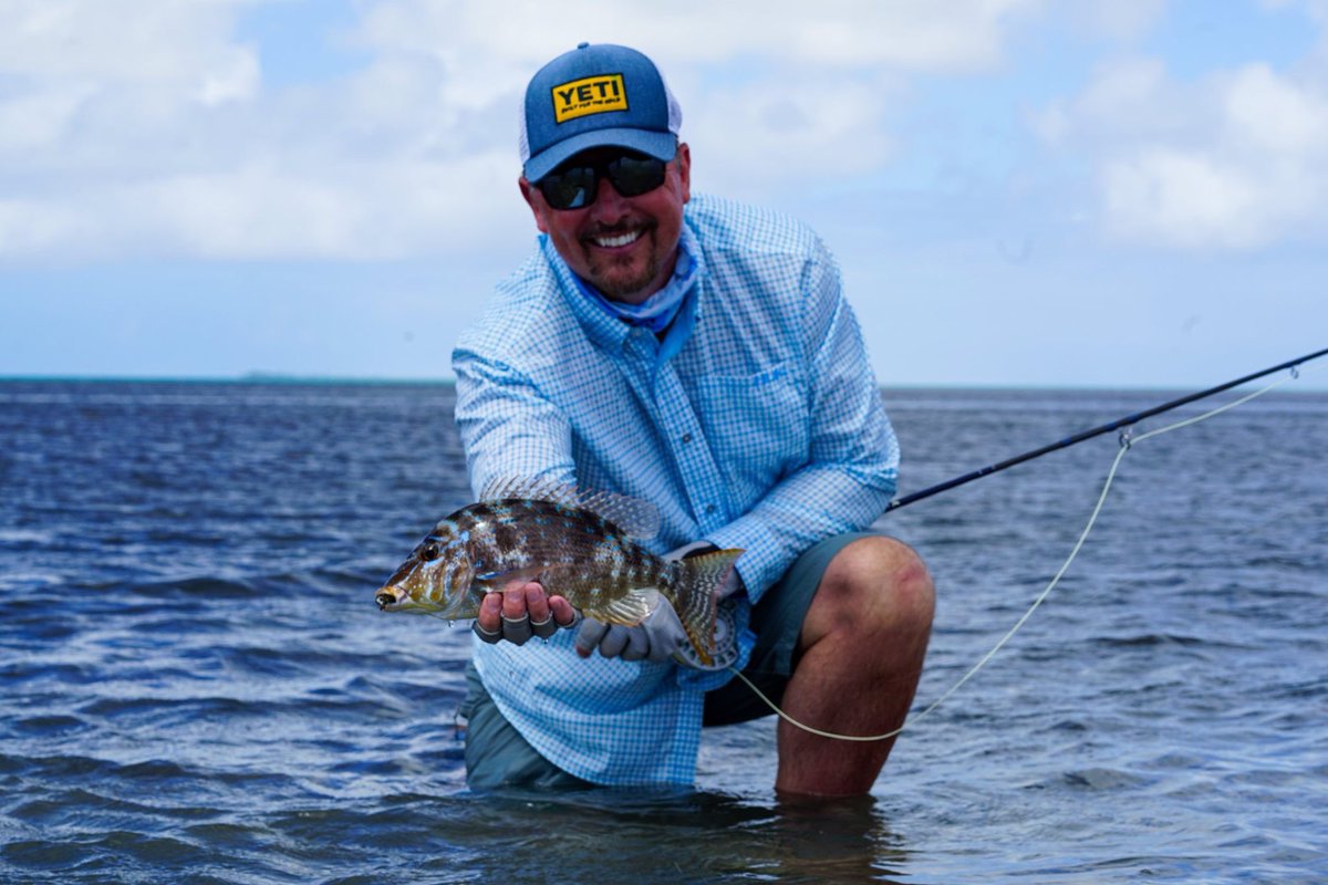 FRCcrew's tweet photo. On this week's episode, it wasn't always about the size, it was also about the beauty of the catch. Name the species...
#LifeOnTheFly #flyfishing #flylife #Mahe #saltwater #blessed #myAquarium #fishingbum #TeamOutdoors #thetugisthedrug @AlphonseFishing @YETICoolers @HukGear https://t.co/CwMBgJHyyj