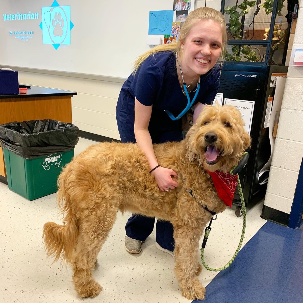 mrsgeist's tweet photo. Congratulations 💙💛 Class of 2020 💙💛 on completing your graduation projects! We had such a fun day! 👩🎓👨🎓#classof2020 #congrats #graduationyear #animalsgalore #graduationprojects https://t.co/teRNoYDJCc