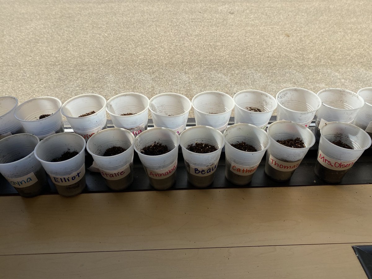 We know what plants need to grow! #wal109