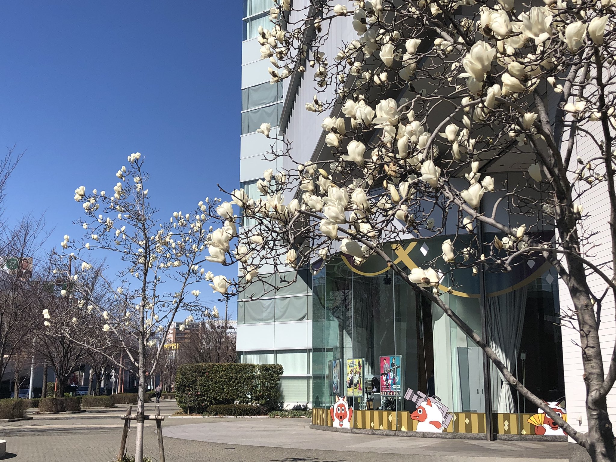 メ テレ 名古屋テレビ メーテレ スタジオジブリ 作品の魅力満載 の企画展 ロバート馬場ちゃん 楽楽ごはんは 鶏のむね肉を使って サラダチキン の作り方を伝授 Sns上で話題の写真 や動画 を紹介 午前11 00