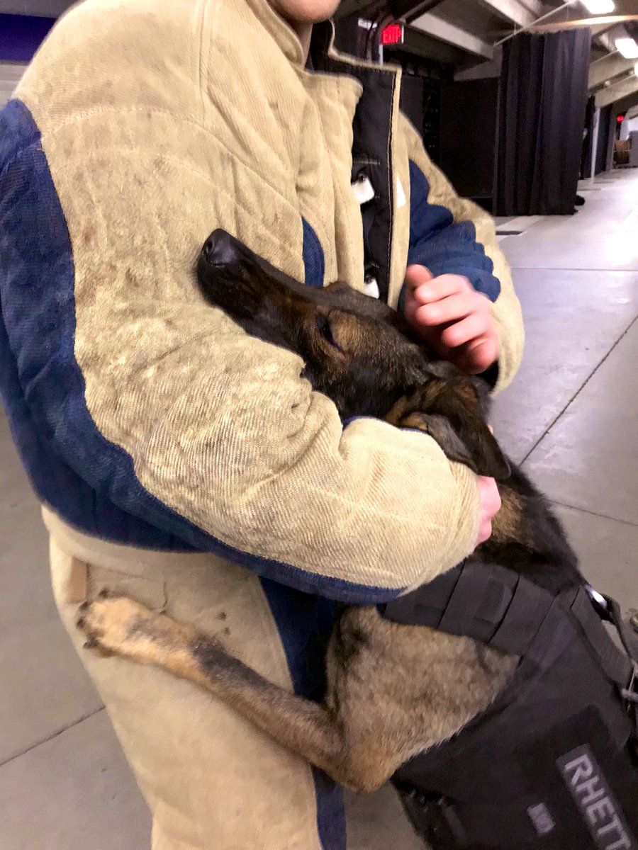 VPDCanine's tweet photo. This is what we call....
#FullGripFriday 💪
Hope all you cool pups enjoy your weekend as much as PSD Rhett is enjoying this moment with his buddy 😎
#VPDCanineUnit #workingdogs #bitesuitbuddies https://t.co/OLjr1VXWeJ