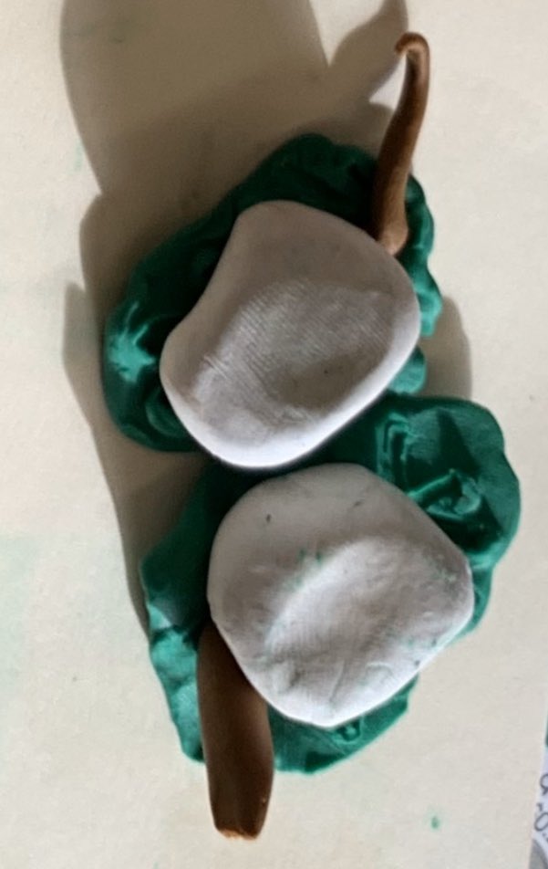 MrsB3V's tweet photo. Partners @3_valleys research life cycle of an animal, take joy notes, create the stages using plasticine, film using istopmotion, create a script and edit in iMovie. Can’t wait to see the finished product @MsTranClass 🙏 to your Ss for helping with istopmotion https://t.co/CrbrJ80guo