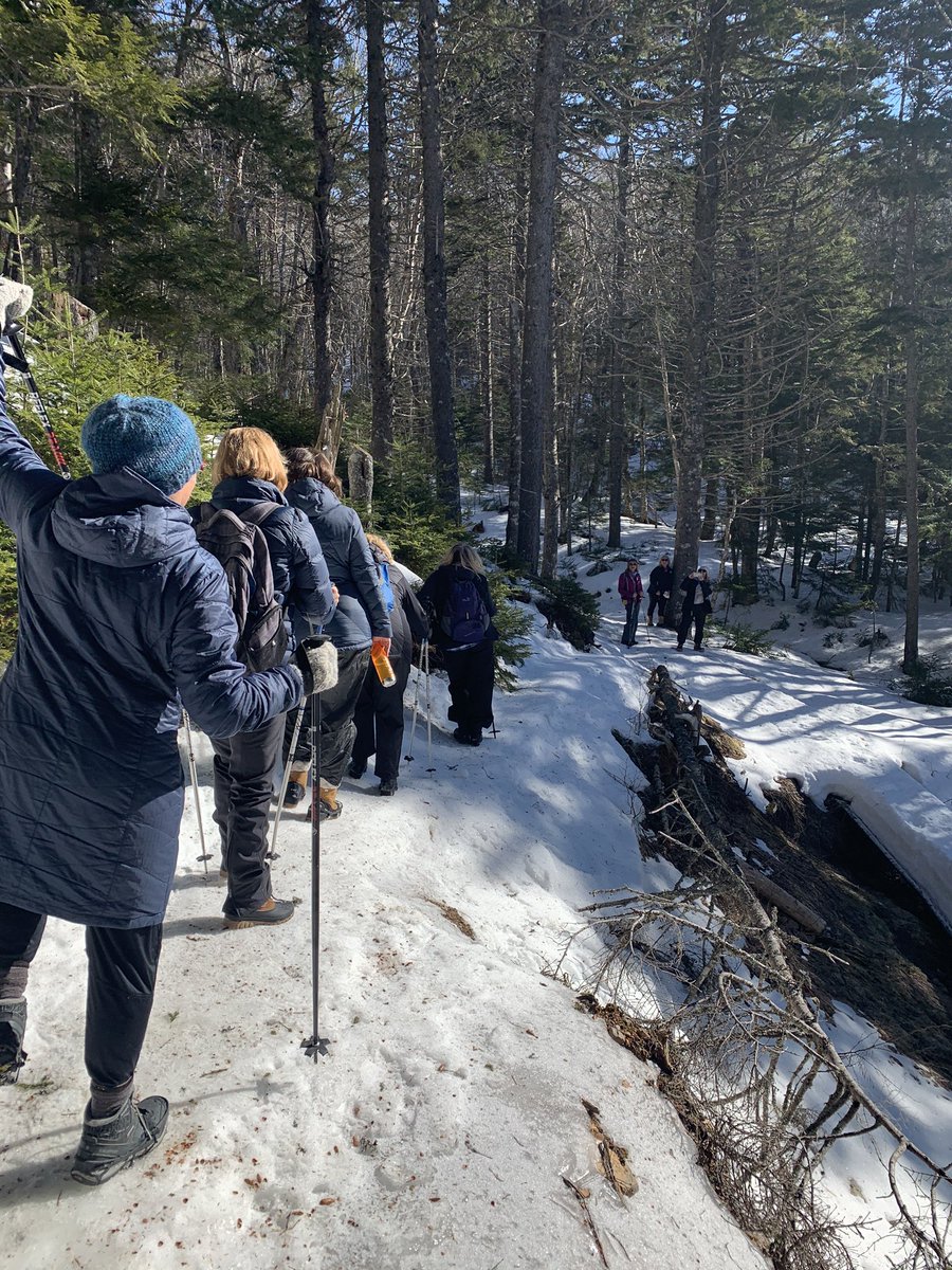 Stephen Harding tweet media