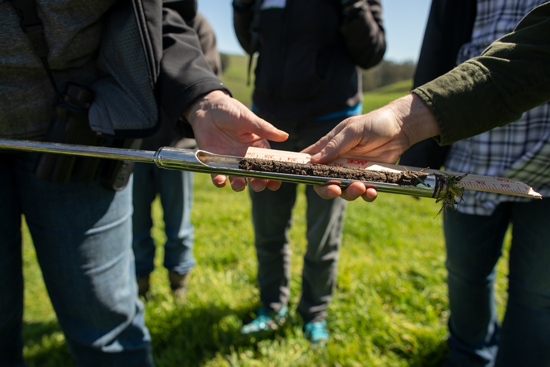 MALT_AG's tweet photo. Honored for MALT and the Marin Carbon Project to noted for our climate work in this article. https://t.co/iTam1OOC9t https://t.co/ZaaAd2oyWH