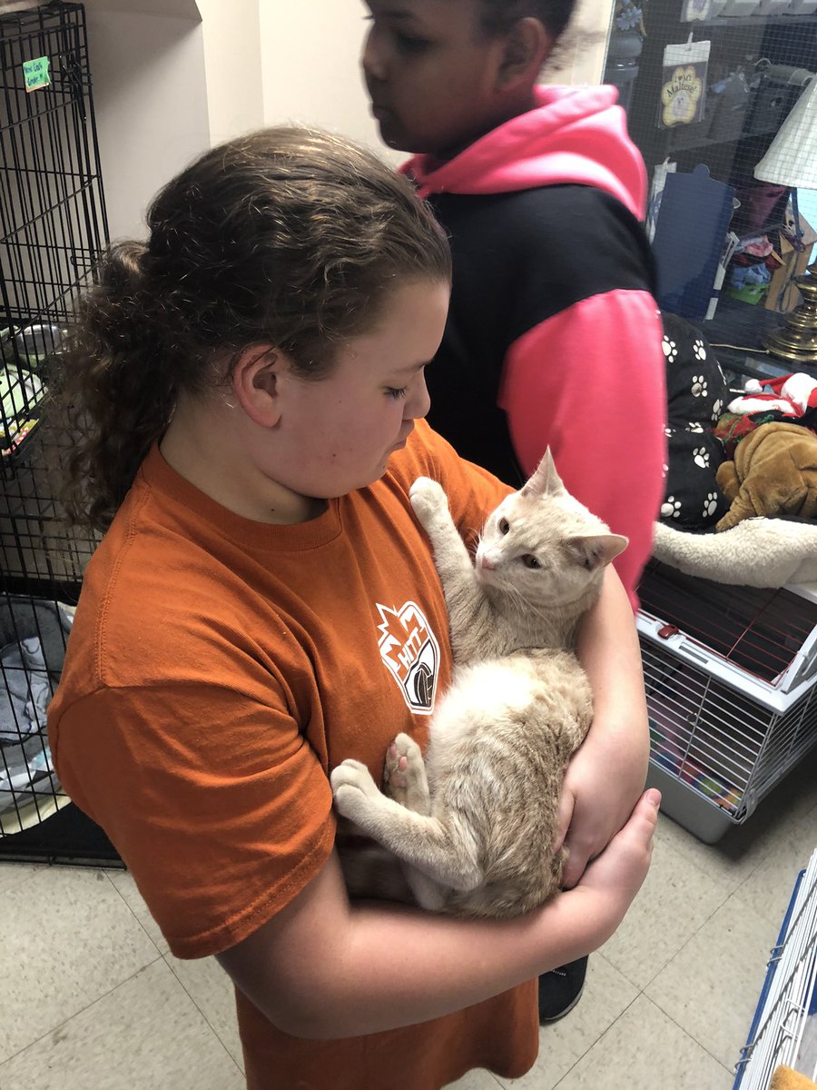 Sara Kloot tweet media