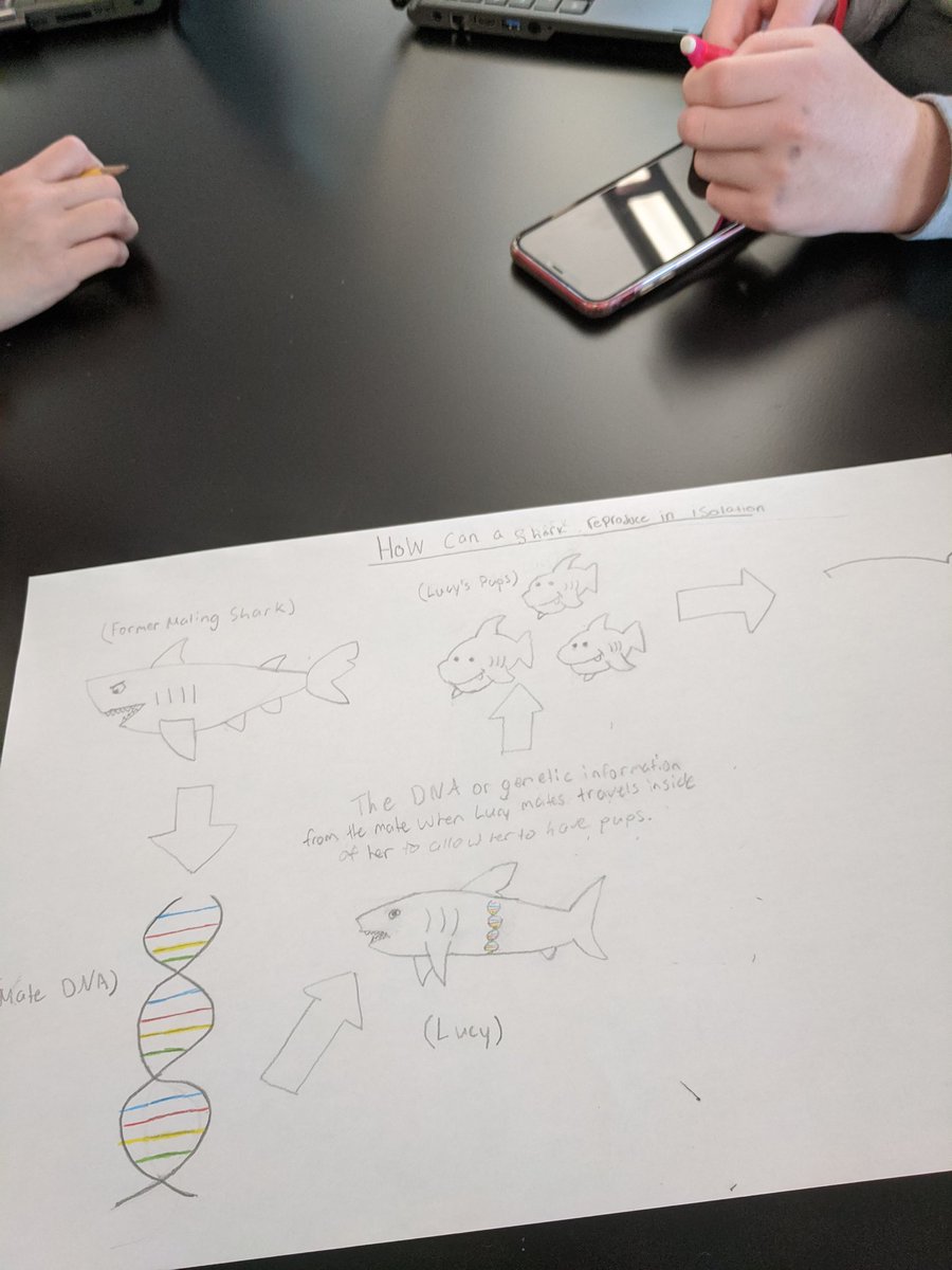 jgreen_science's tweet photo. Freshman bio with earth science students creating their group initial models for our new unit! Really fantastic work guys! #ngss #AST https://t.co/XHdPGUVaEJ
