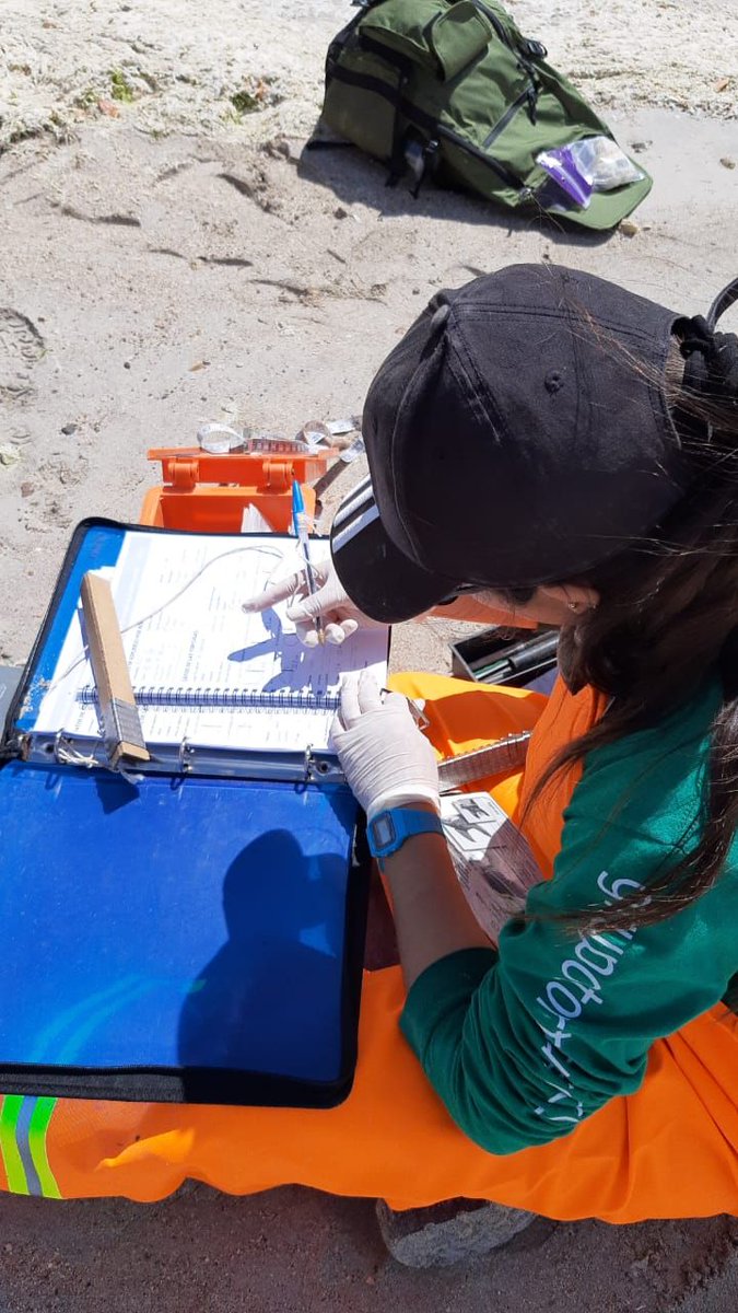 g_tortuguero_ca's tweet photo. #DondeEstaDonChuy: Monitoreo mensual de tortugas marinas en la Isla Espíritu Santo, La Paz, BCS. Agradecemos el apoyo de voluntarios de la UABCS, CICIMAR y de Los Cabos!
#PonteLaVerde #SomosTortugueros #LaPaz #PNZMAES #TortugasPrietas #EspeciesEnRiesgo #FaltaronLasCareys #ICAPO https://t.co/4U2fex6LXF