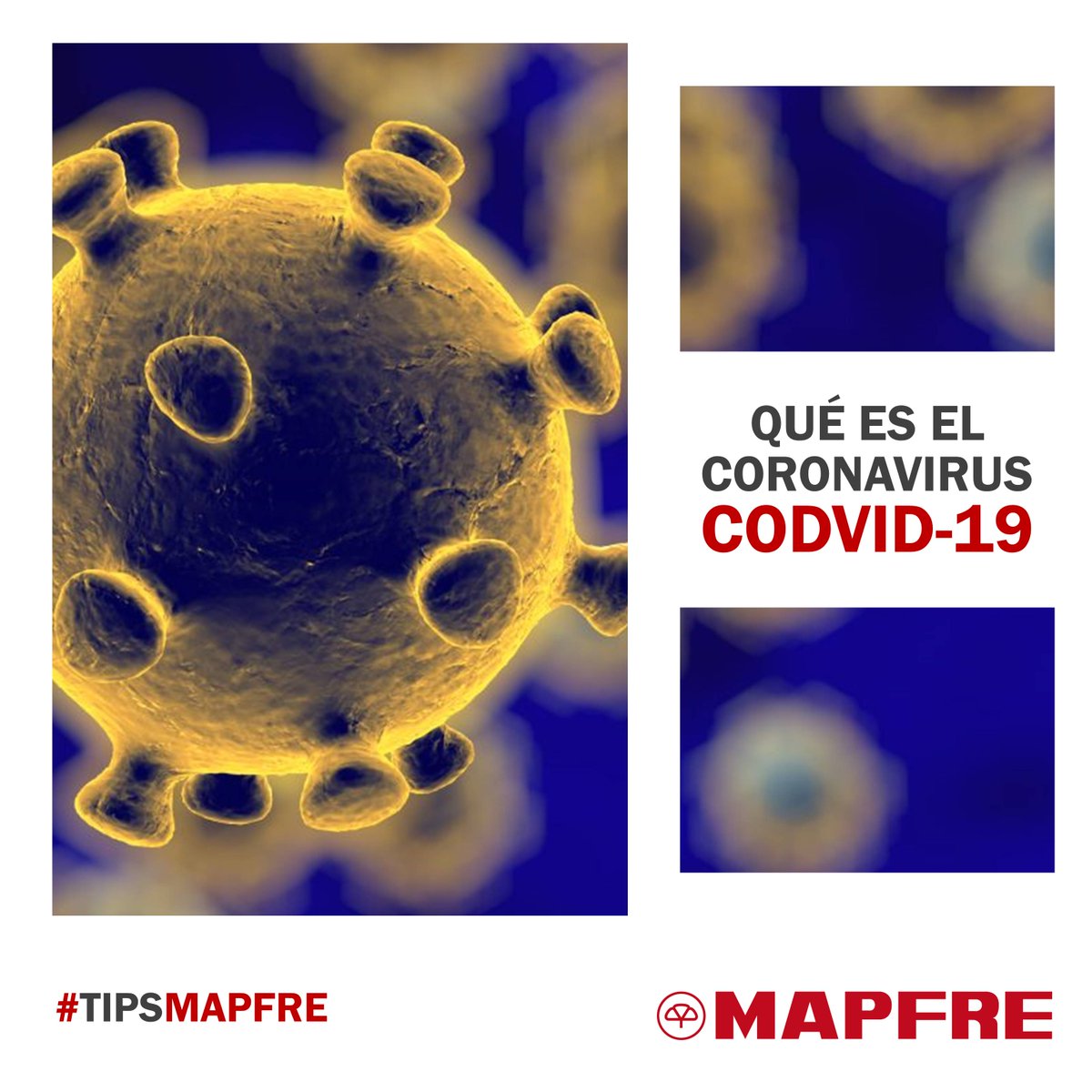 MAPFRE_VE's tweet photo. #TipsMAPFRE El #Coronavirus es un virus que circula entre animales pero algunos también pueden afectar a humanos, los síntomas del COVID-19 son fiebre, tos y asfixia.
Si presentas este cuadro acude inmediatamente al médico, nuestro personal está atento #MAPFRE #Venezuela https://t.co/na3WT848ct