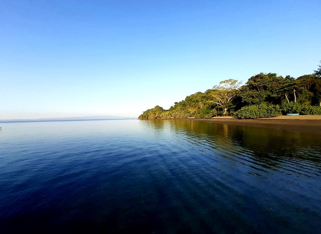 Only in our facilities you can see this type of natural beauty where tranquility and the natural ecosystem converge to offer us these views ❤️😍😍
.
.
.
#costarica #puravida #view #wildlife #ecosystem #beauty #awesome #paradise #inlove #nature
