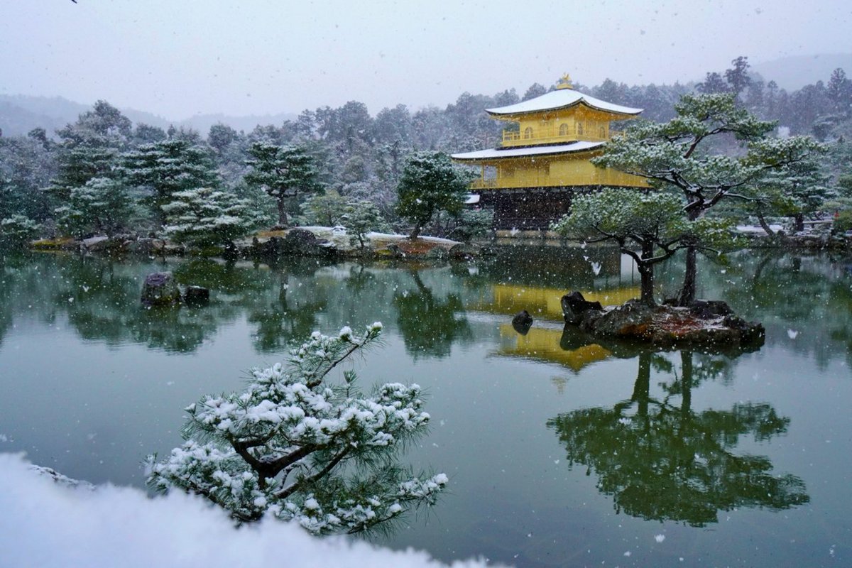 Japan_In_Image's tweet photo. Kinkakuji snow ❄️
📷Chitaka45
#japan #japantravel #Kyoto #temple #kinkakuji https://t.co/54E2gCvf7J