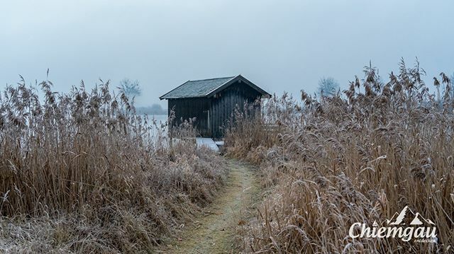 Der_Chiemgau's tweet photo. Der Winter wollte dieses Jahr hier am See nicht so Recht in Gang kommen, aber für ein paar frostige Bilder hat es am Ende irgendwie noch so gereicht... 😜
_______________________________________

#chiemsee #chiemgau #rimsting #visualofearth #dreaming_… https://t.co/U8tPmw3P2e https://t.co/JytLz2J3Yp