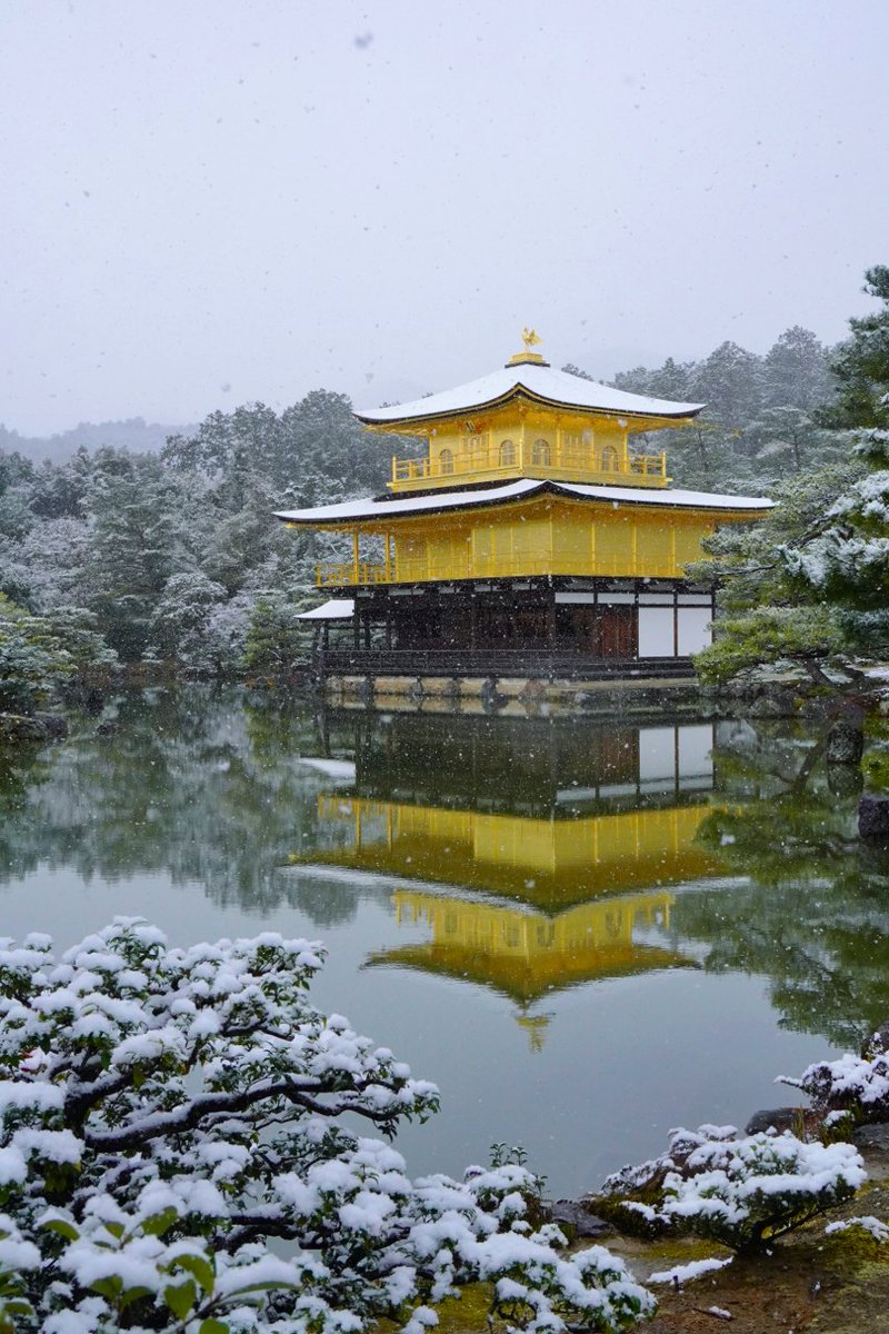 Japan_In_Image's tweet photo. Kinkakuji snow ❄️
📷Chitaka45
#japan #japantravel #Kyoto #temple #kinkakuji https://t.co/54E2gCvf7J