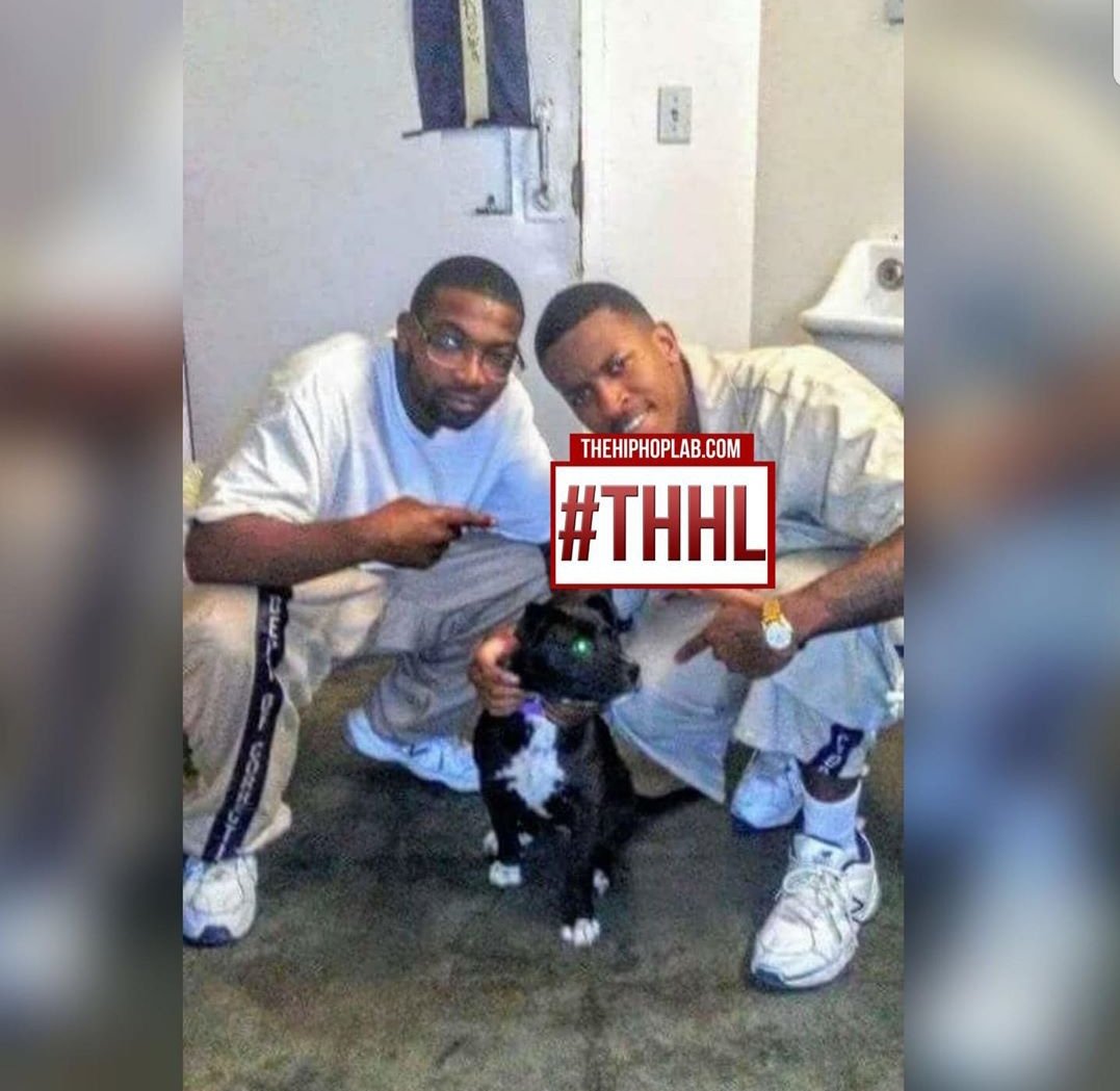 VH1PNUT___'s tweet photo. HOW THE FUCK THESE NIGGAS GET A PITBULL AND ZAXBYS IN JAIL LOL https://t.co/p1uVI9SX1Y