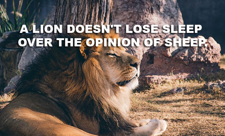 Lina Lecaro tweet media