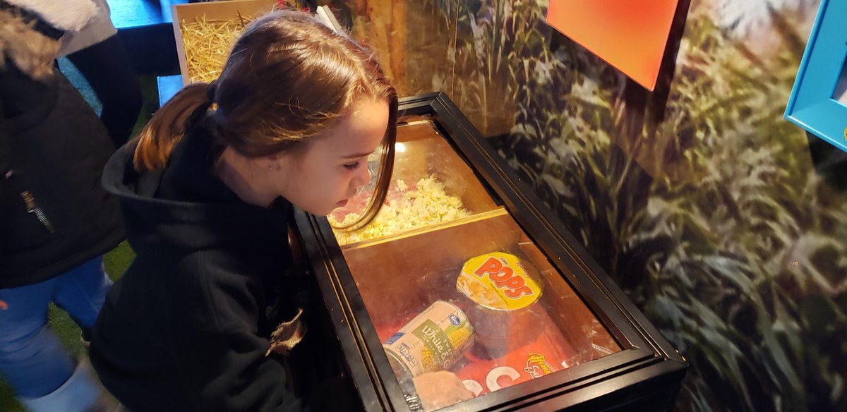 SonjaBNelson's tweet photo. Our kindergarteners and third graders had an in-house agricultural field trip by G.A.B.I.E.  The students used a manual grinder to grind wheat seeds into flour. They had many hands on experiences in the  exhibits. @pauldingboe @gabiebus https://t.co/Cg3CllLML0