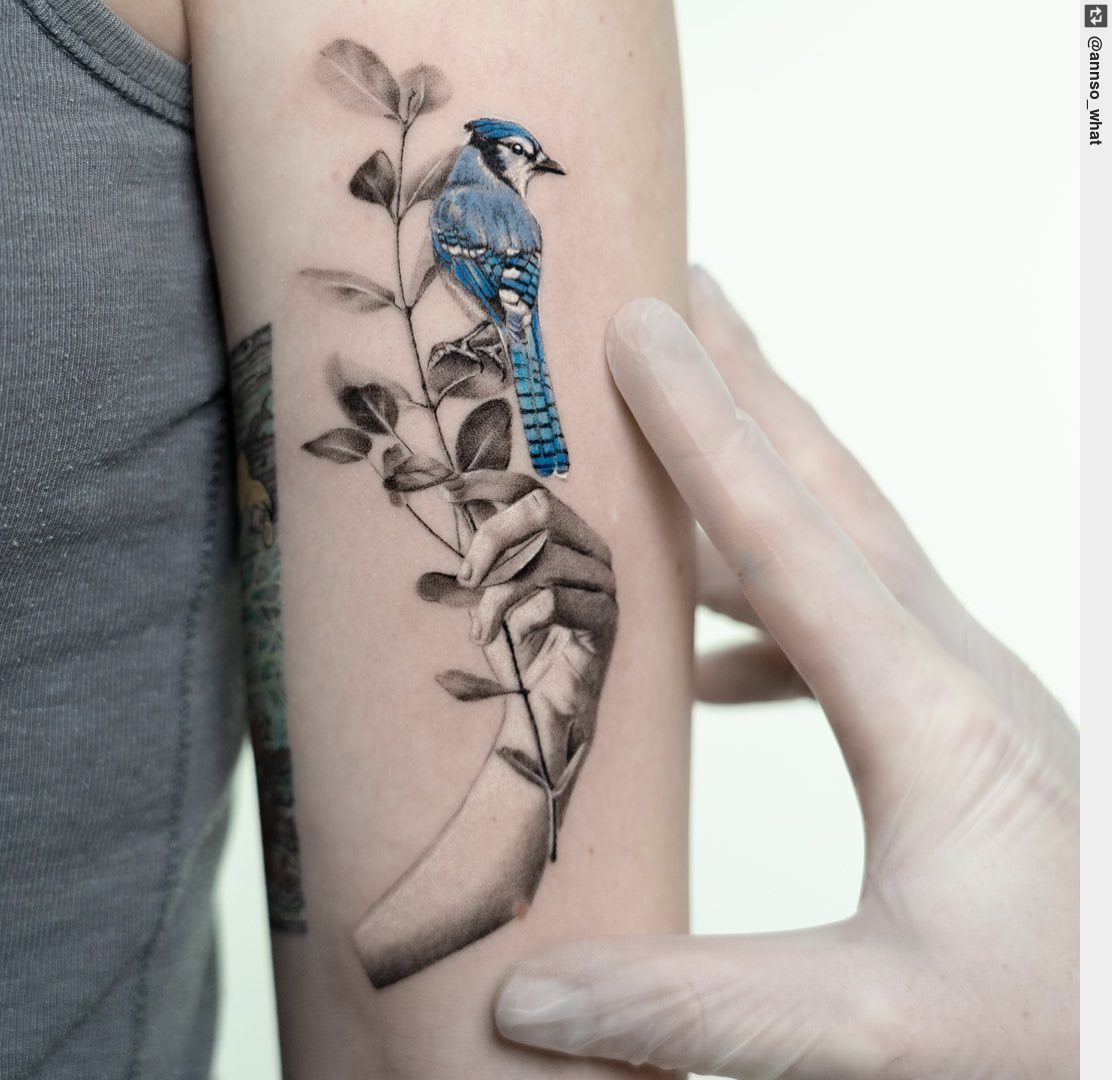 Tattoo Ness on X: ‚The Blue Jay' wannado Thank u beautiful Luisa-Maria ~ .  . . . 📸 #bluejay #bird #birds #tattooist #tattoo #inked #ink #tattooart   / X