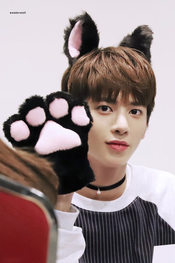 End of thread nyan nyan