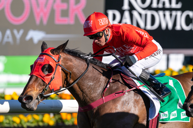 ArrowfieldStud's tweet image. All honours with Nature Strip, but what a marvellous competitor Redzel is, refusing to surrender in today's @atc_races Challenge S. G2 and snatching 2nd under huge pressure. Everest hero, G1 winner, $16.3 million, 27x won/placed in 38 starts &amp;amp; still top-class. We salute him!